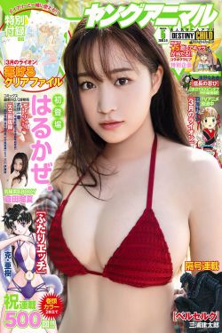 连城诀 电视剧